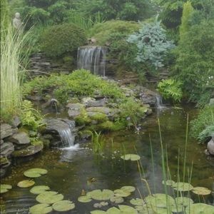 Meet your Posher, Rayne